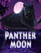 เว็บพนันบอลที่ดีที่สุด ที่คุณไม่ควรพลาด